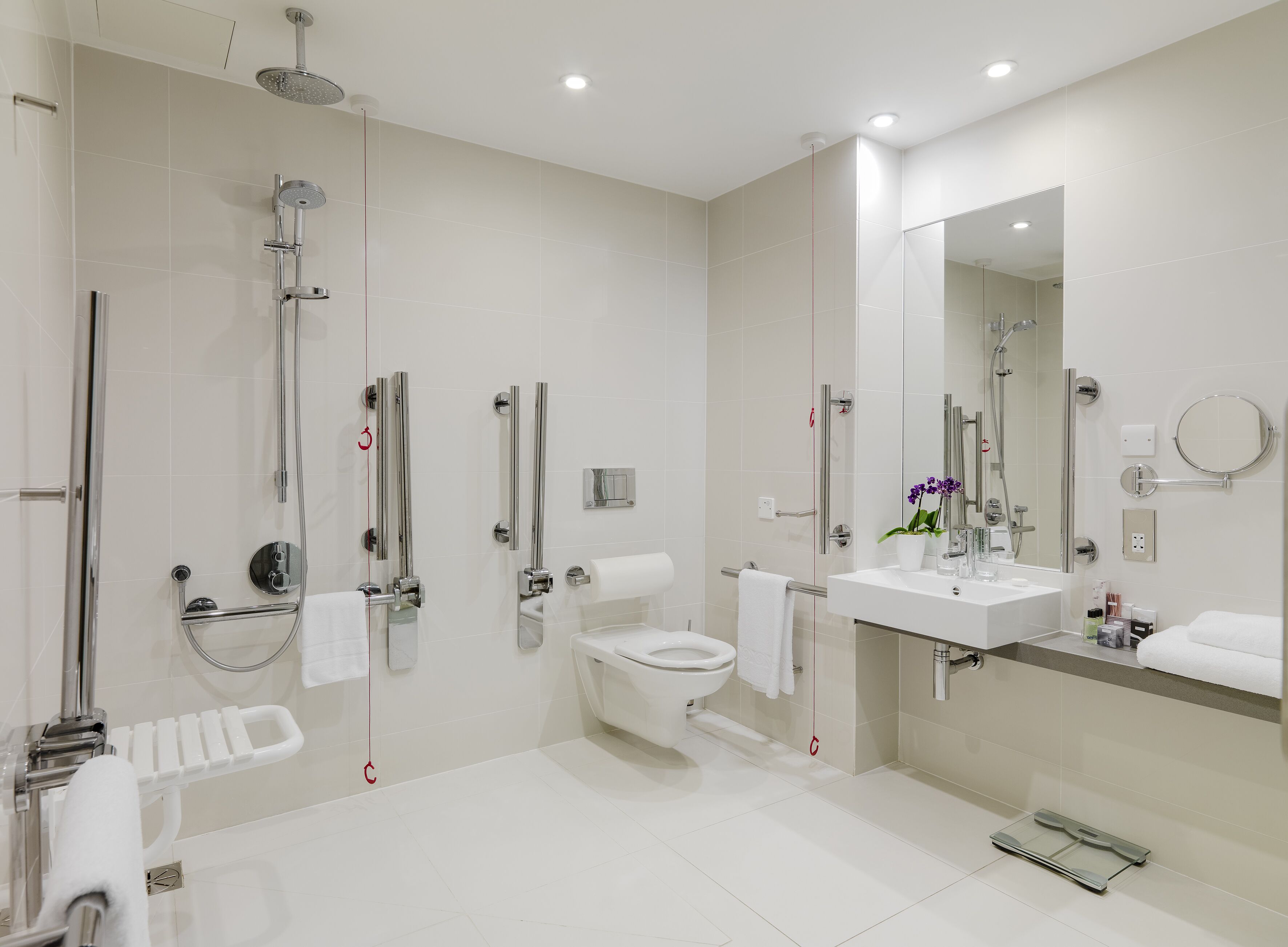 A modern bathroom with a walk-in shower, a toilet, and a sink.