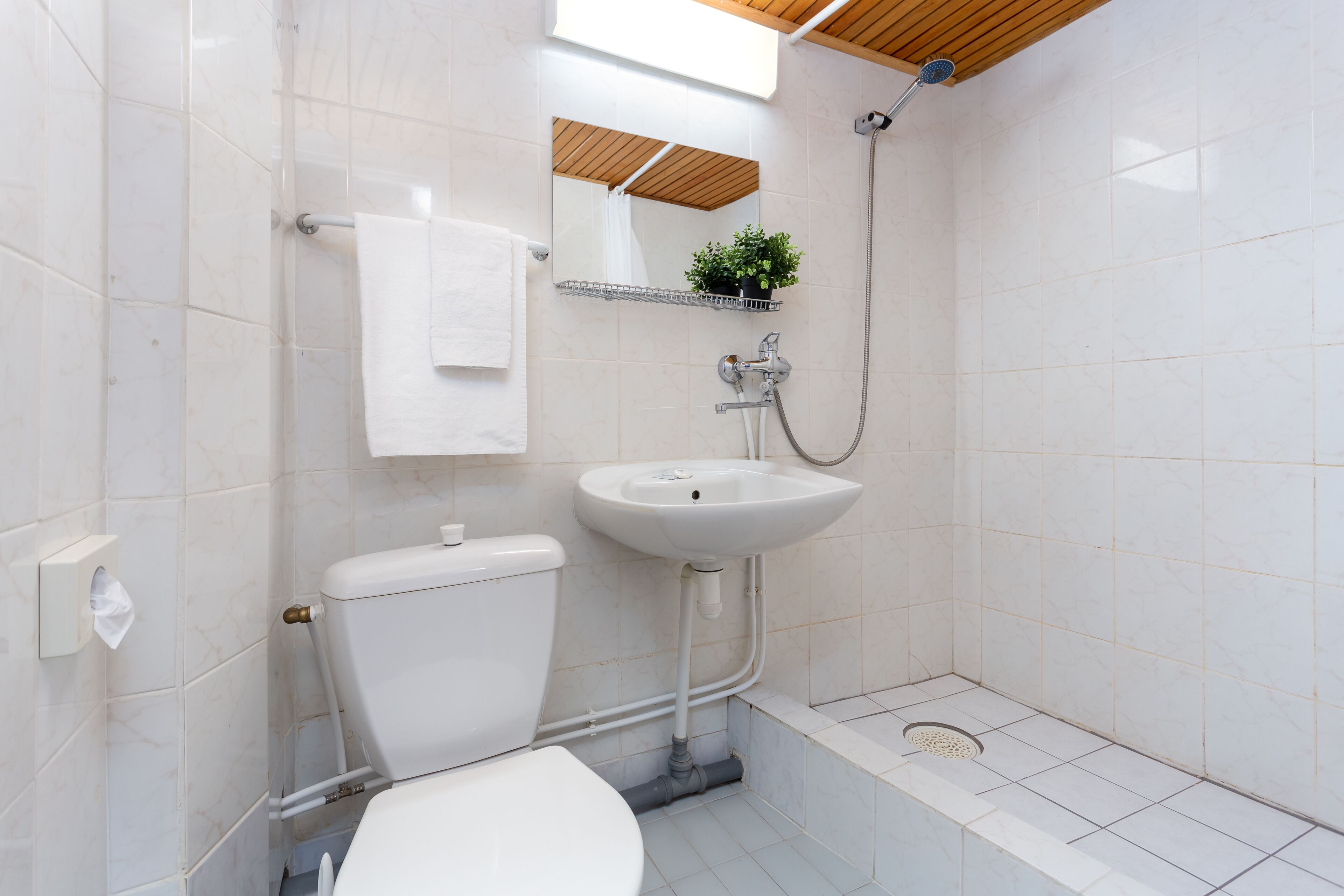 Un baño con inodoro, lavabo, ducha y una pequeña planta en maceta sobre el lavabo.