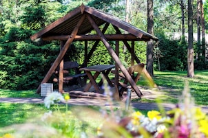 Een houten picknickoverkapping met banken en een tafel, omringd door weelderige begroeiing.