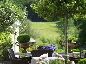 Een terras met rieten stoelen, potplanten en uitzicht op een groen landschap.