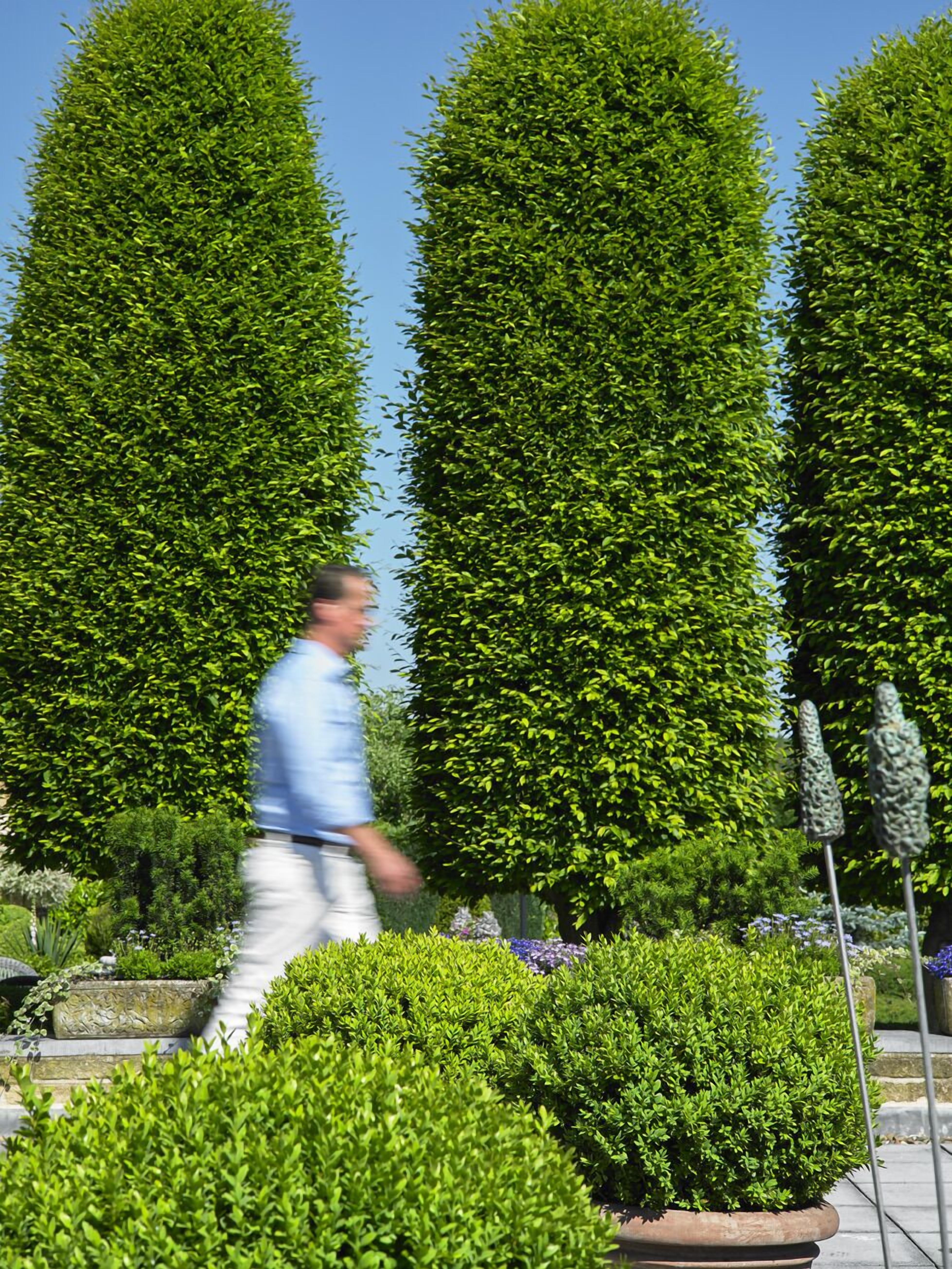 Foto - Romantik Parkhotel het Gulpdal
