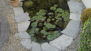 A garden with a pond, a white duck statue, and a potted plant.