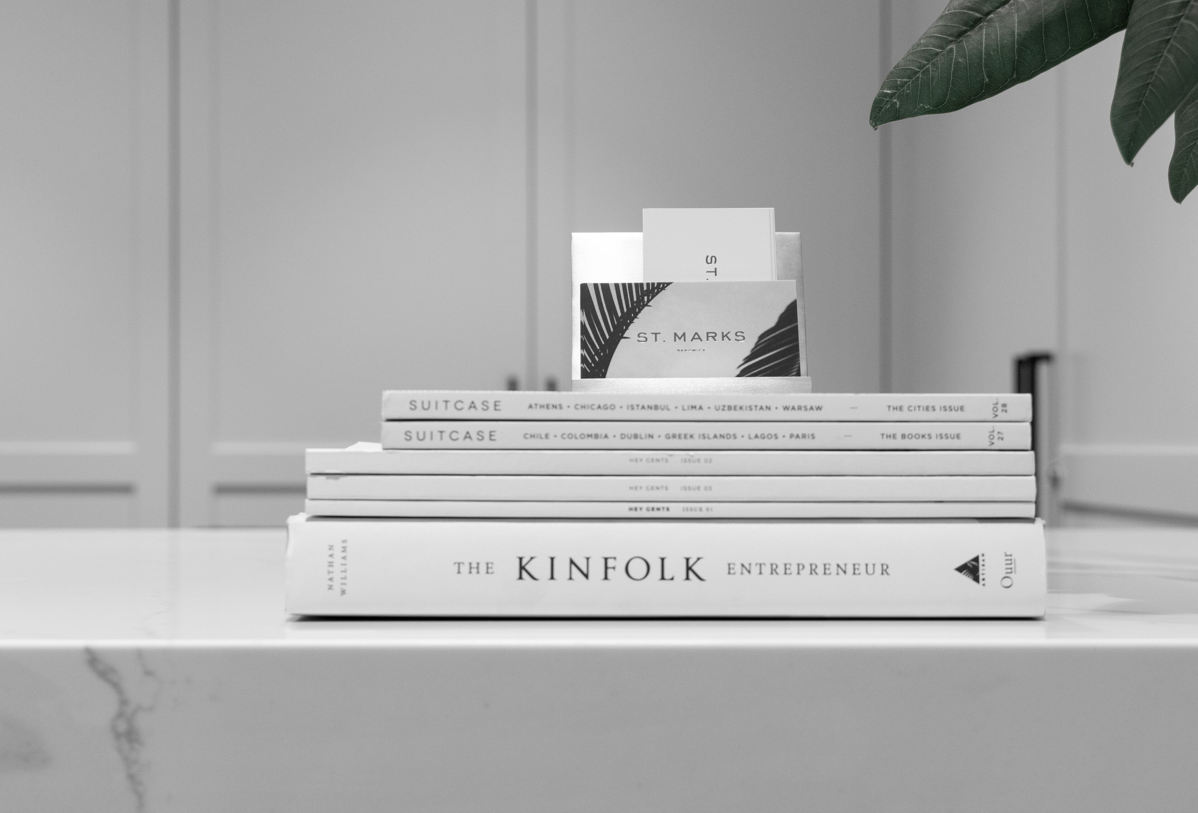 A stack of books on a marble surface with a plant in the background.