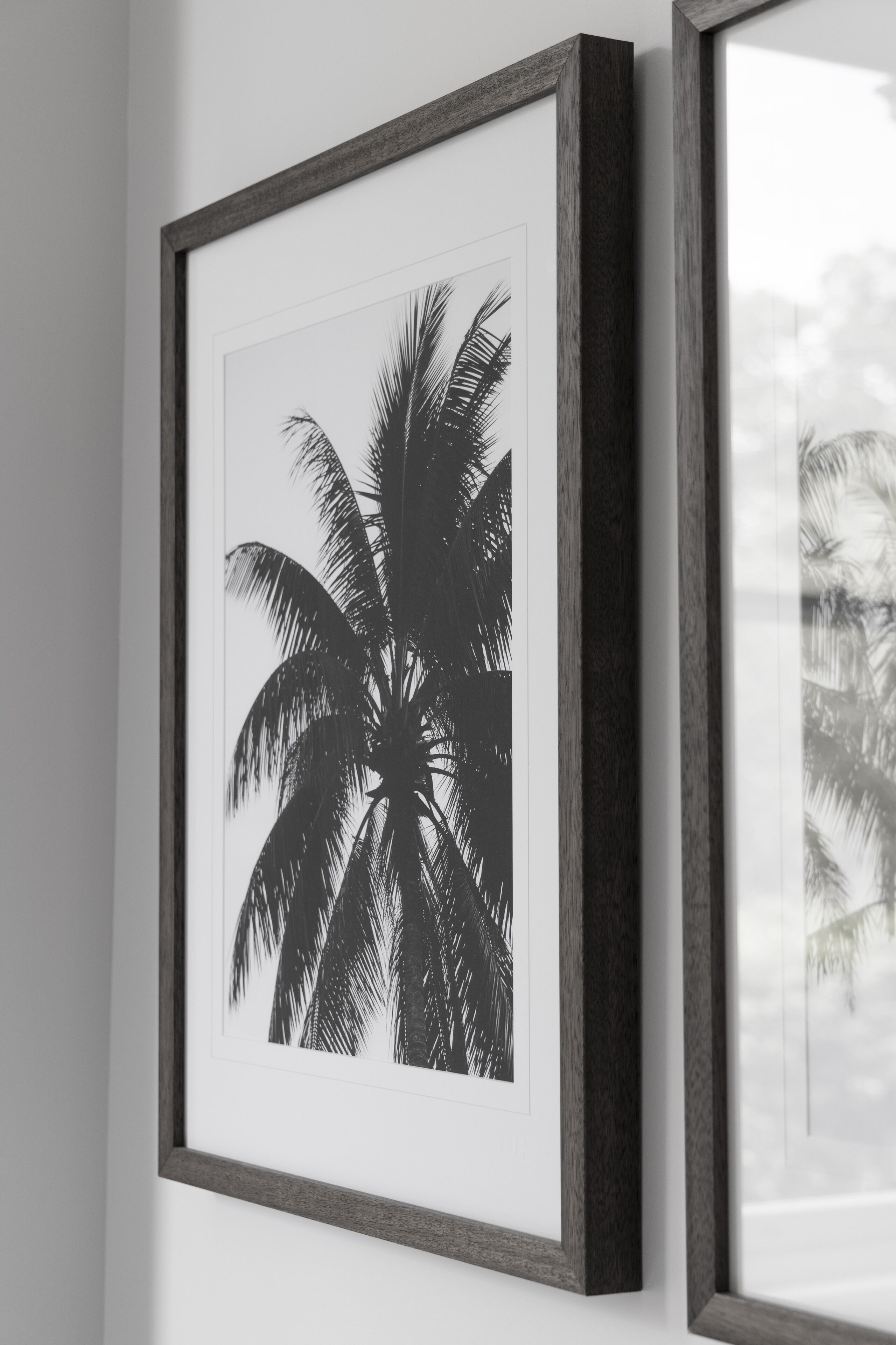 Fotografía en blanco y negro enmarcadas de una palmera en una pared.