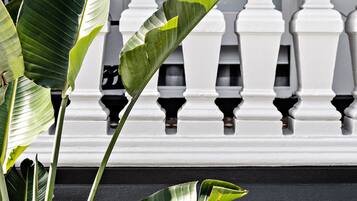 A balcony with white balustrades and large green leaves of a plant.
