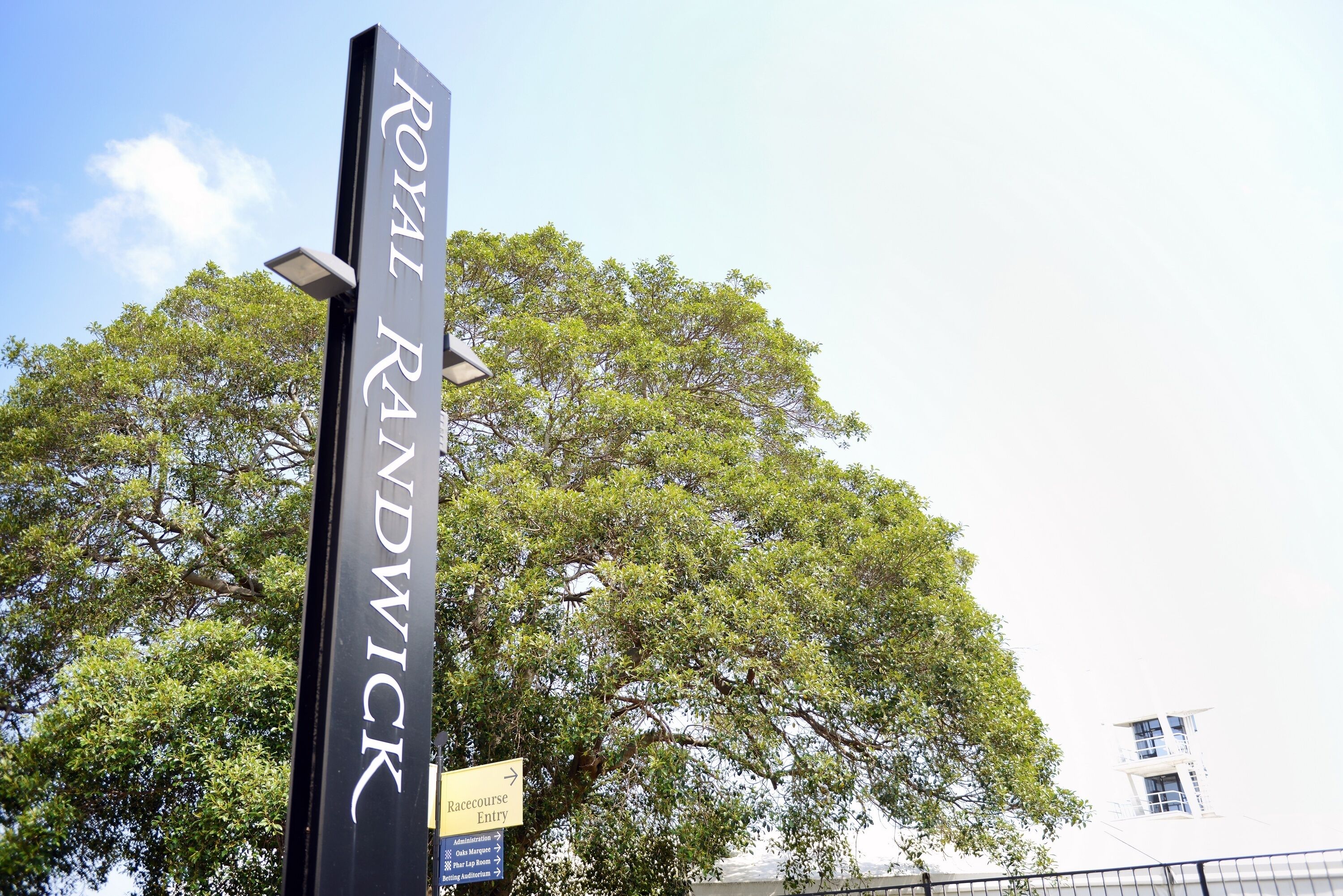 Foto - High Cross Randwick by Sydney Lodges