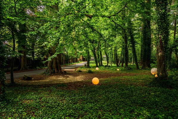 A forested area with a paved path, trees, and spherical objects on the ground.