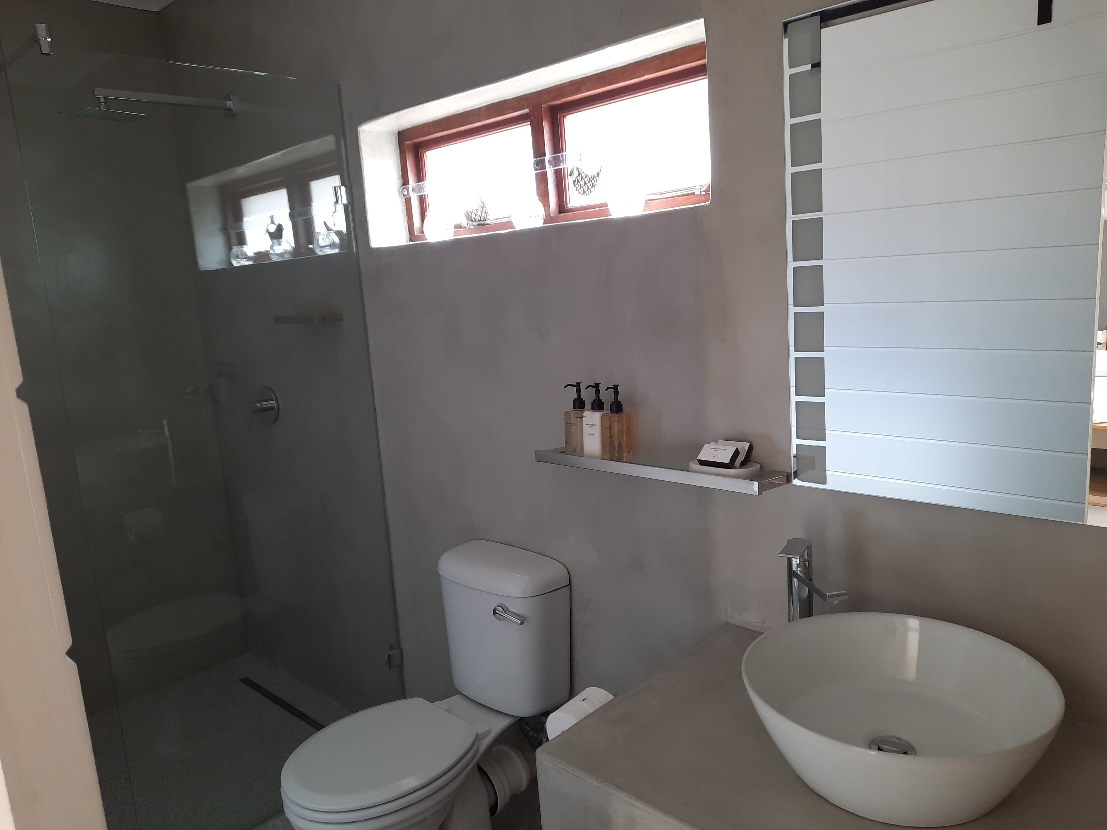 A bathroom with a toilet, a sink, a shower, and a window.