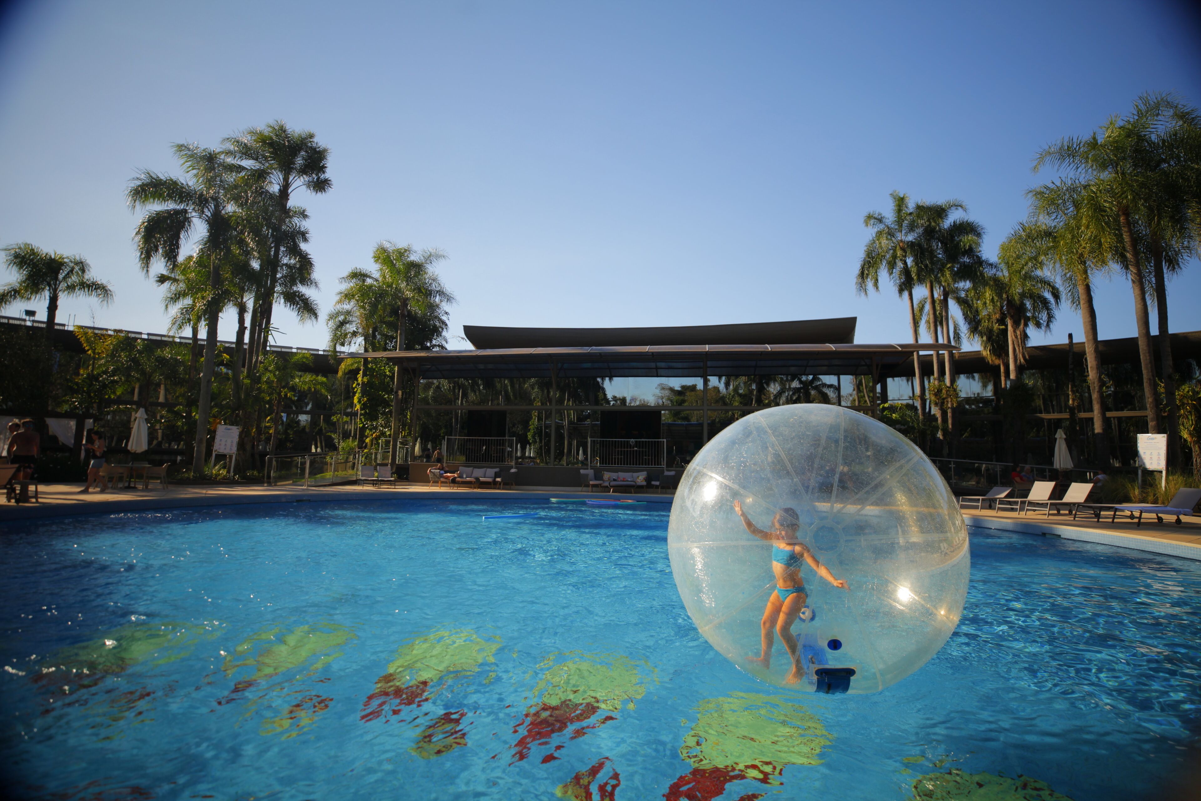 A swimming pool with clear water, surrounded by palm trees and lounge chairs.