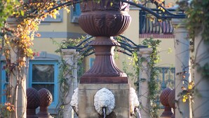 A fountain with a decorative urn, surrounded by a stone pathway and greenery. - Franschhoek Country House and Villas (Franschhoek)