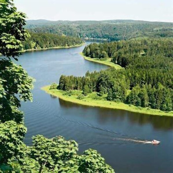 A river winding through a forested landscape with a small island and a boat in the water.