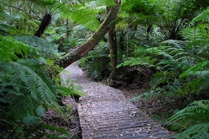 Hiking