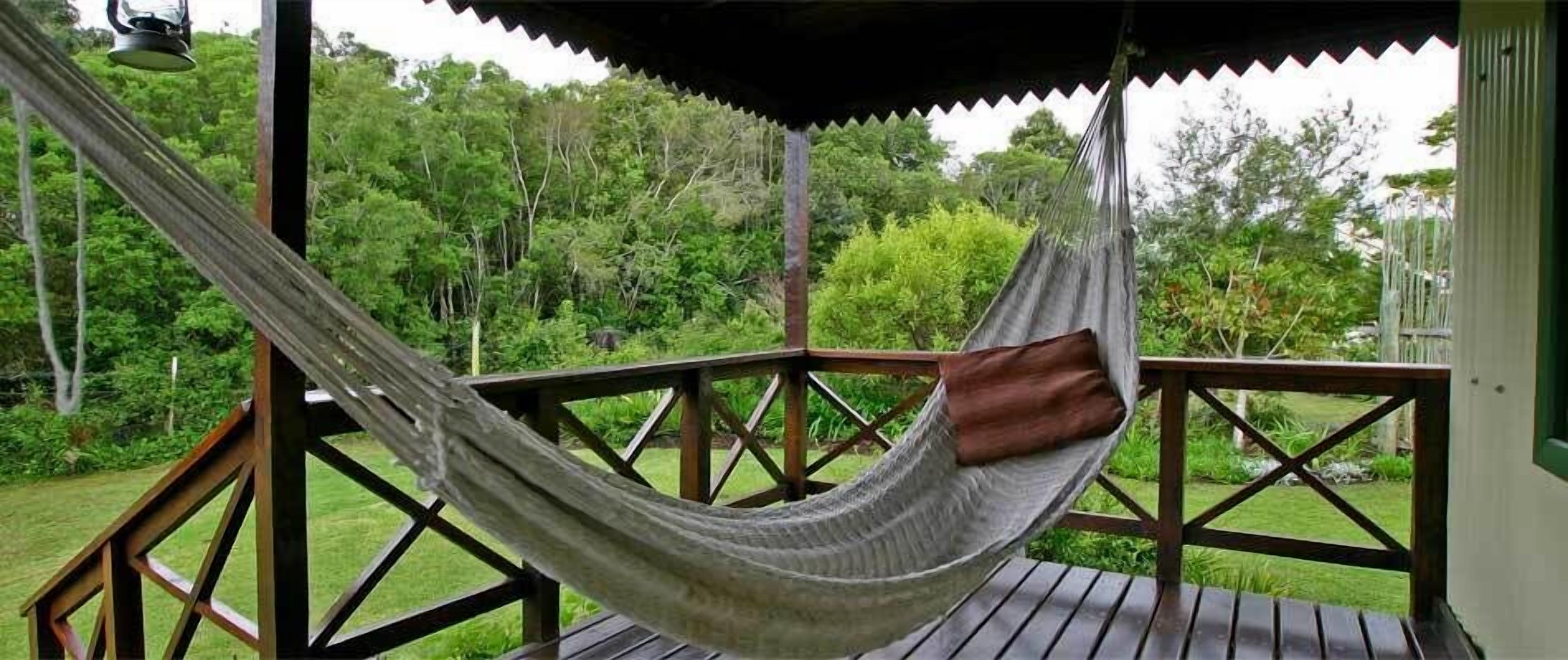 A hammock on a wooden deck with a view of a lush green forest.