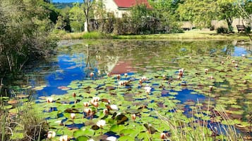 Froggy Pond Cottage | Utsikt mot vattnet
