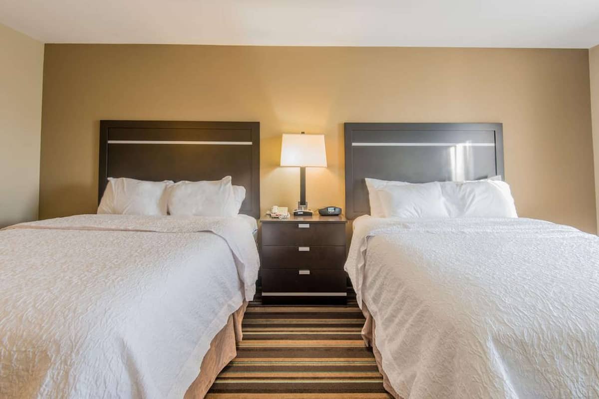 A hotel room with two beds, a nightstand with a lamp, and a striped carpet.