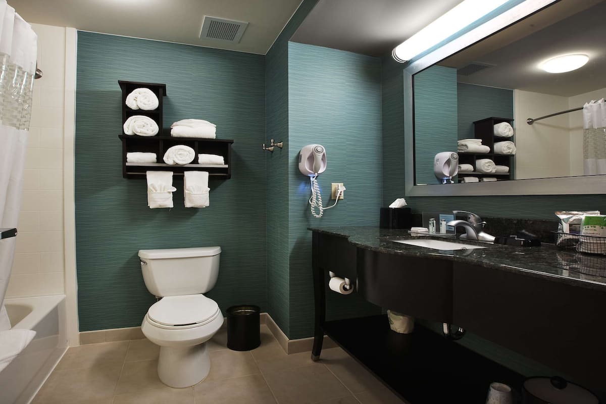 shower, free toiletries, hair dryer, towels