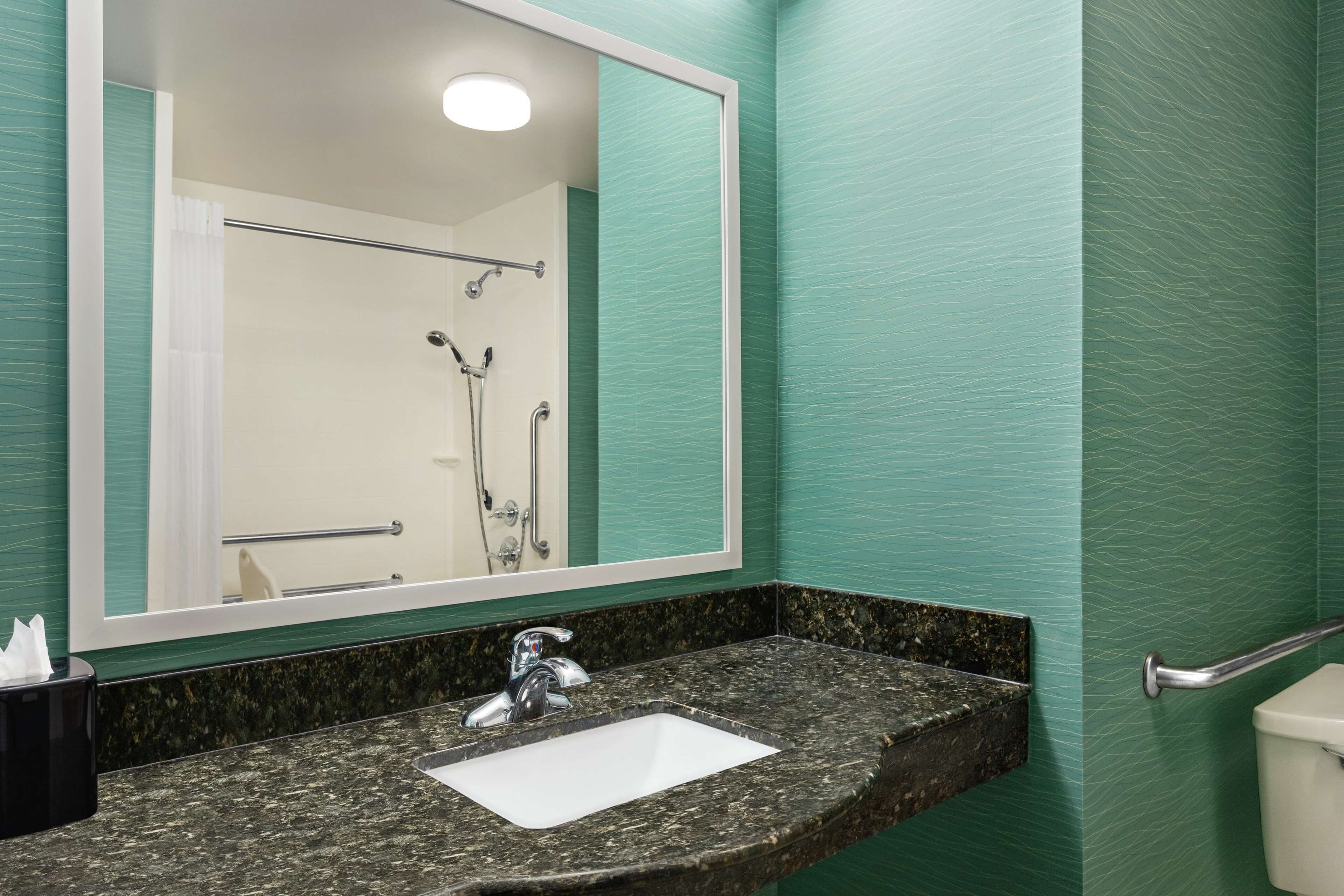 room, 1 king bed, accessible, non smoking | bathroom shower