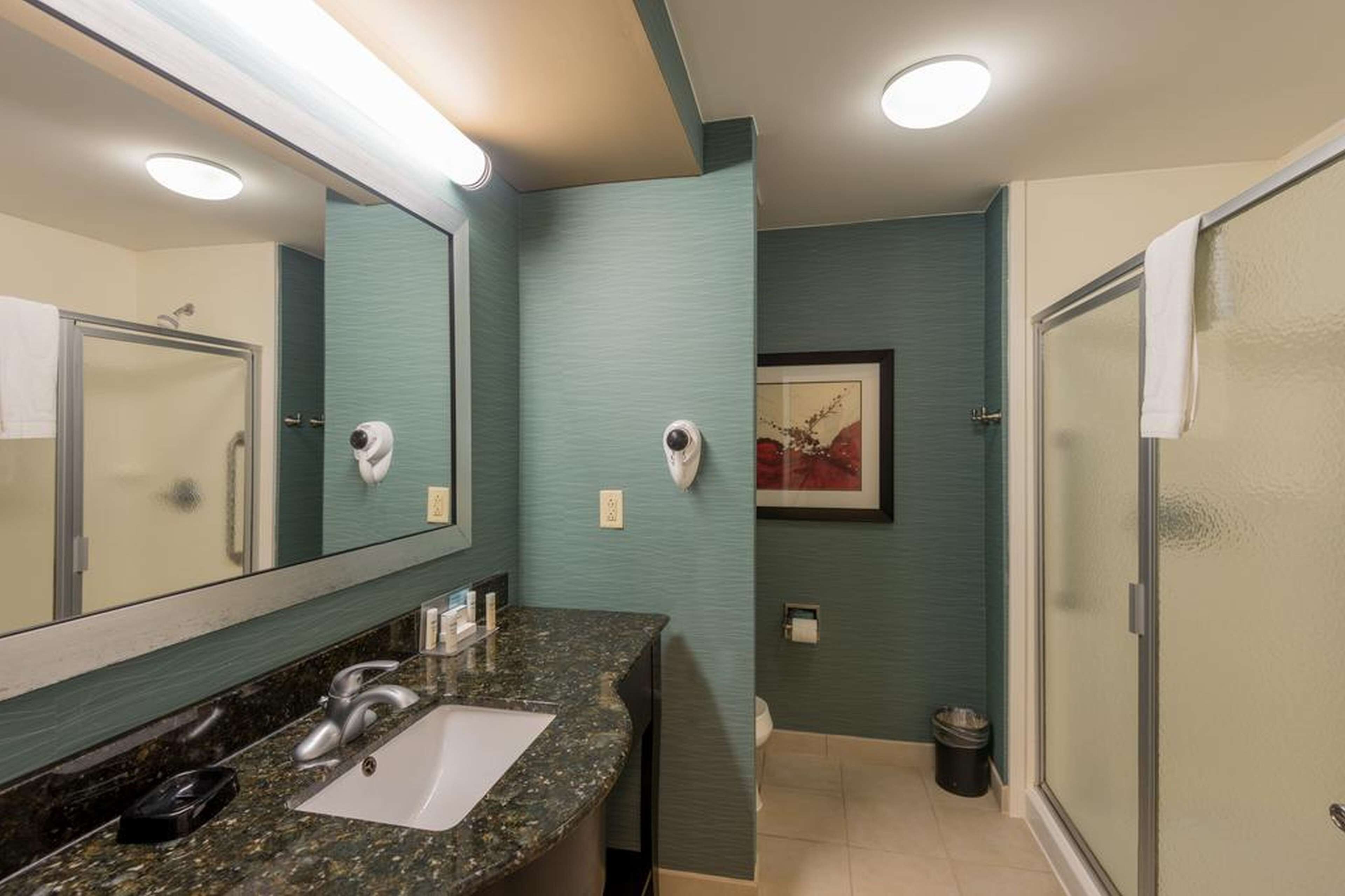 A bathroom with a large mirror, a sink, and a shower area.