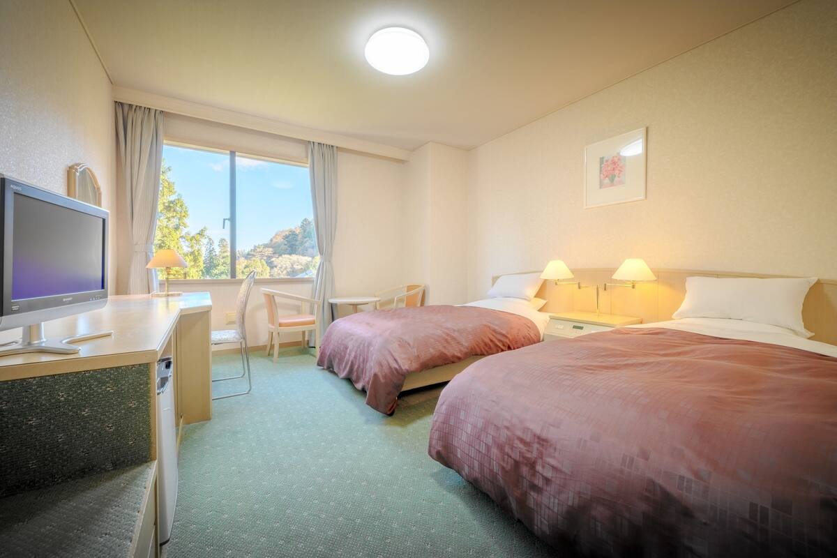 Twin Room, Non Smoking (Response to our email is required)