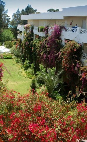Unclassified image, 5 of 53, button - Regency Hammamet (Hammamet)