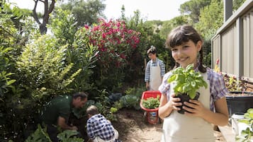 Children's activities