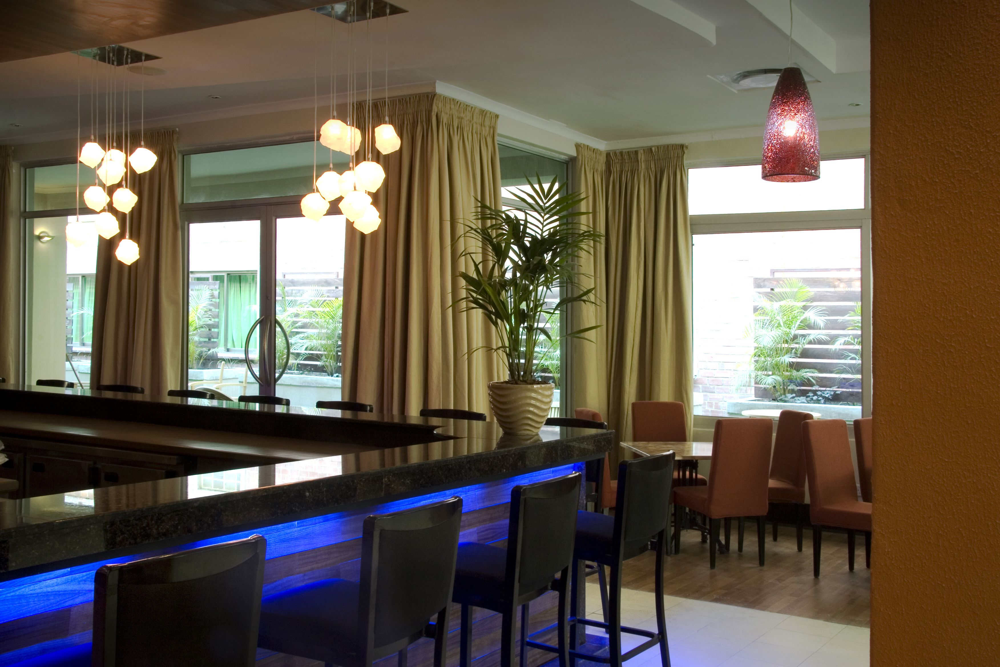 Eine moderne Bar mit einer blauen Theke, mehreren Barhocker und einer großen Kübelpflanze.