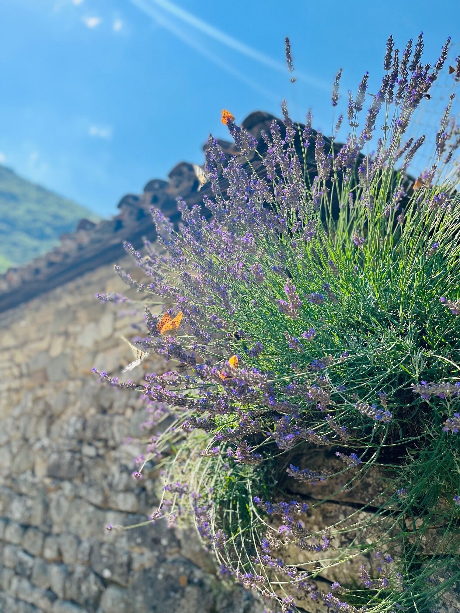 outdoor rock climbing