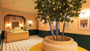 A reception area with a desk, a potted tree, and framed artwork on the walls.