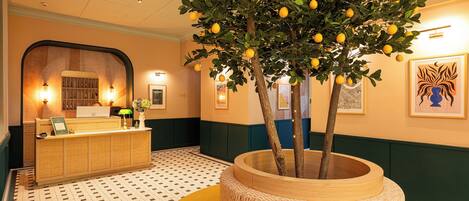 A reception area with a desk, a potted tree, and framed artwork on the walls.