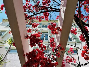 Exterior - Hotel de Londres (Menton)