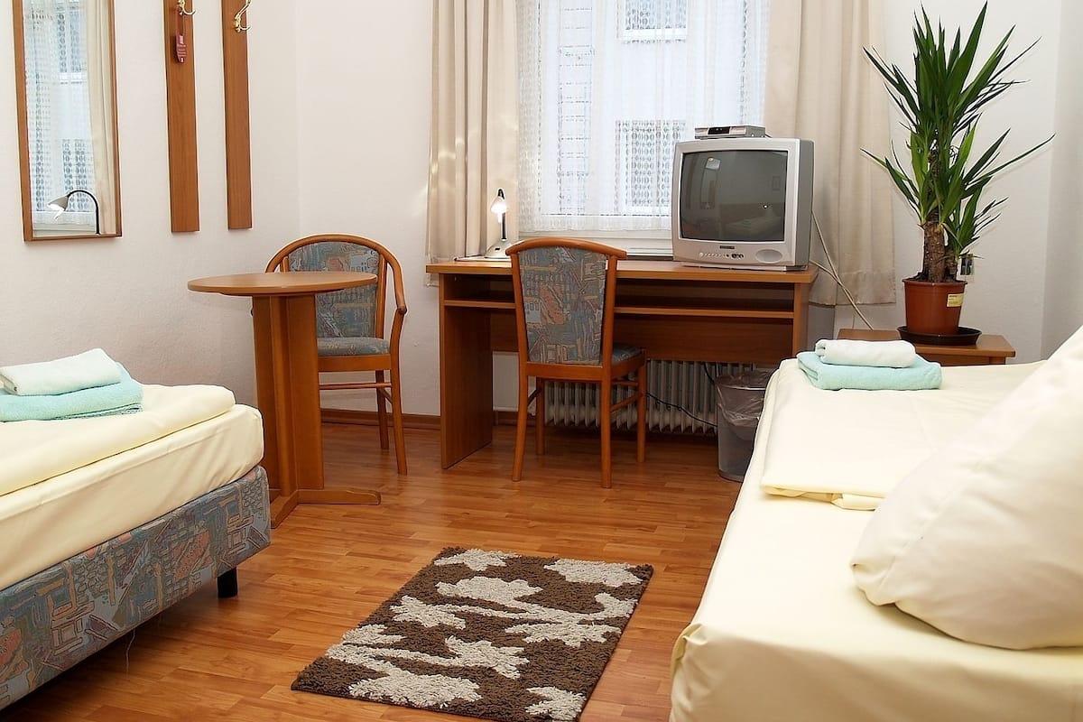 A compact hotel room with a bed, a desk with a television, two chairs, a radiator, and a potted plant.