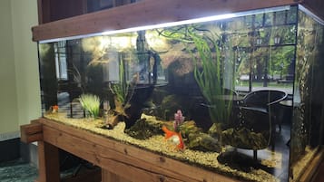 接待處