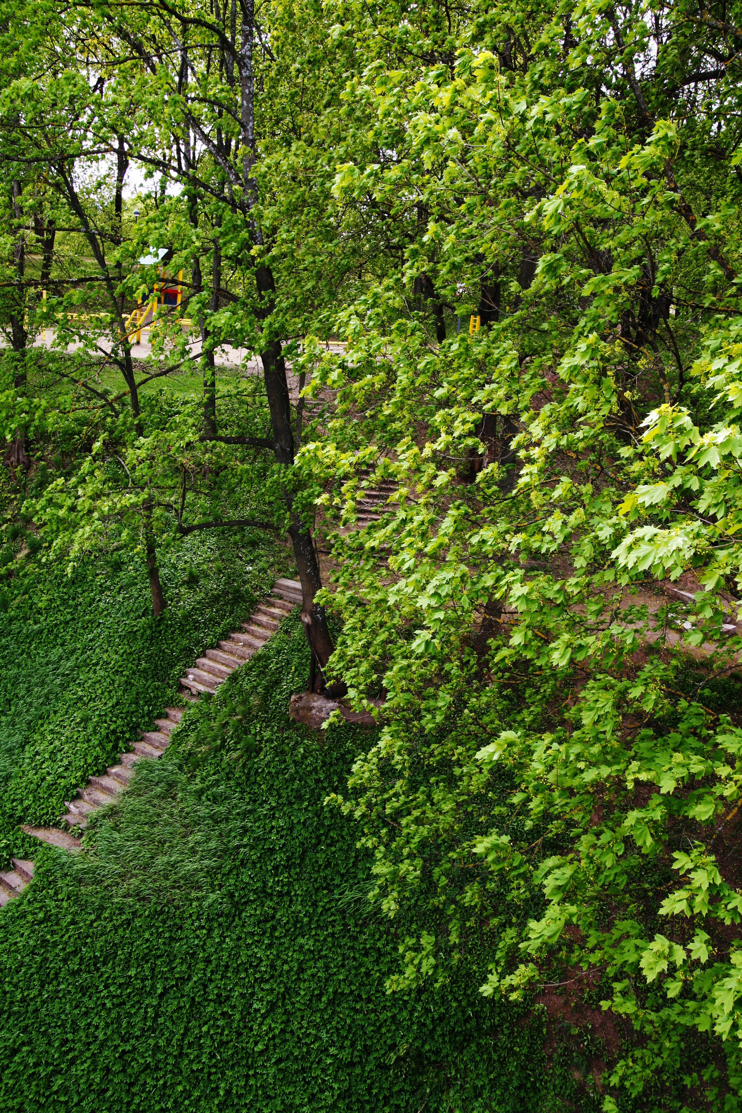 Näkymä majoituspaikasta