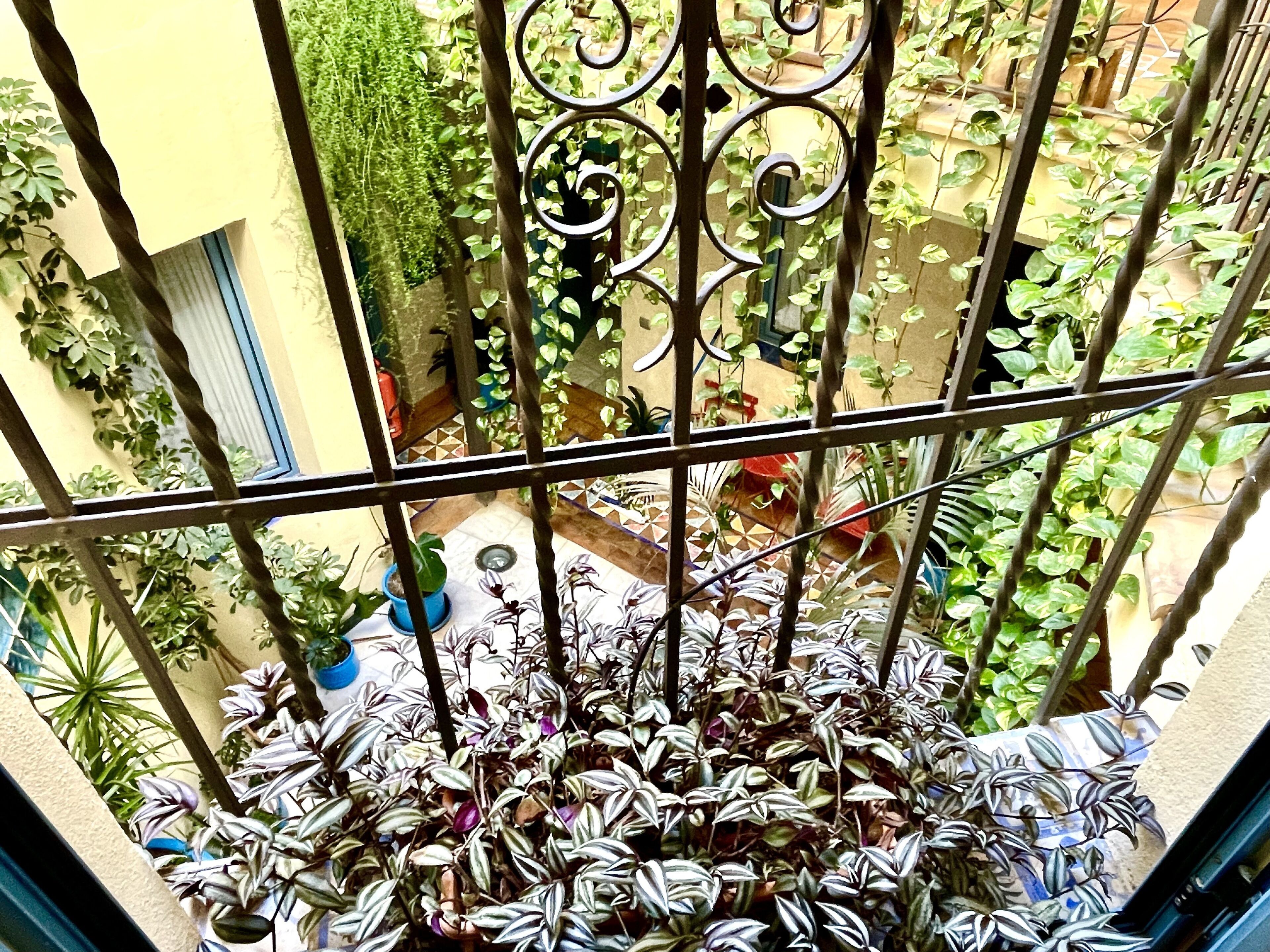 Photo - Hotel Conde de Cárdenas