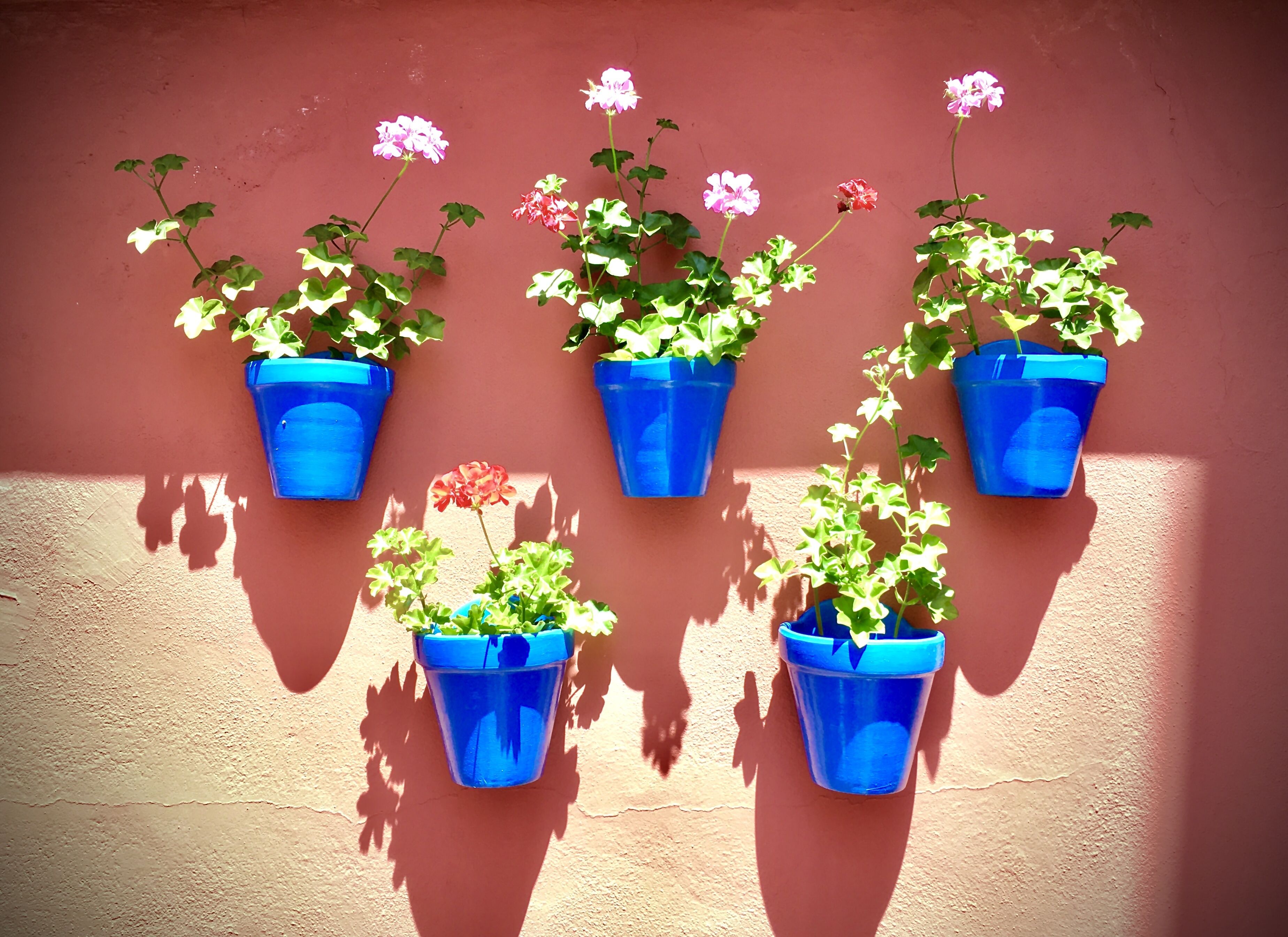 Photo - Hotel Conde de Cárdenas