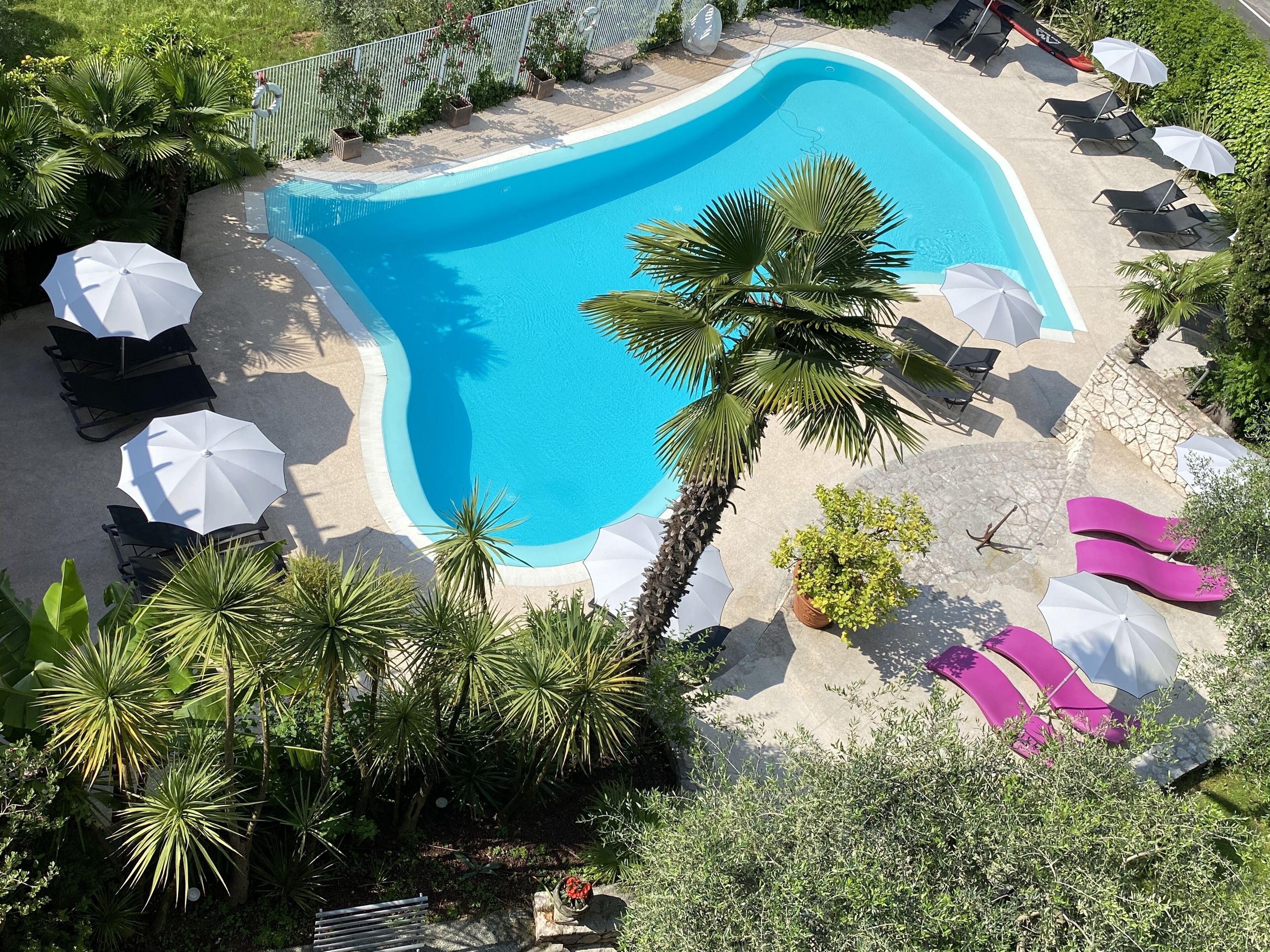 A swimming pool with lounge chairs and umbrellas, surrounded by palm trees and greenery.