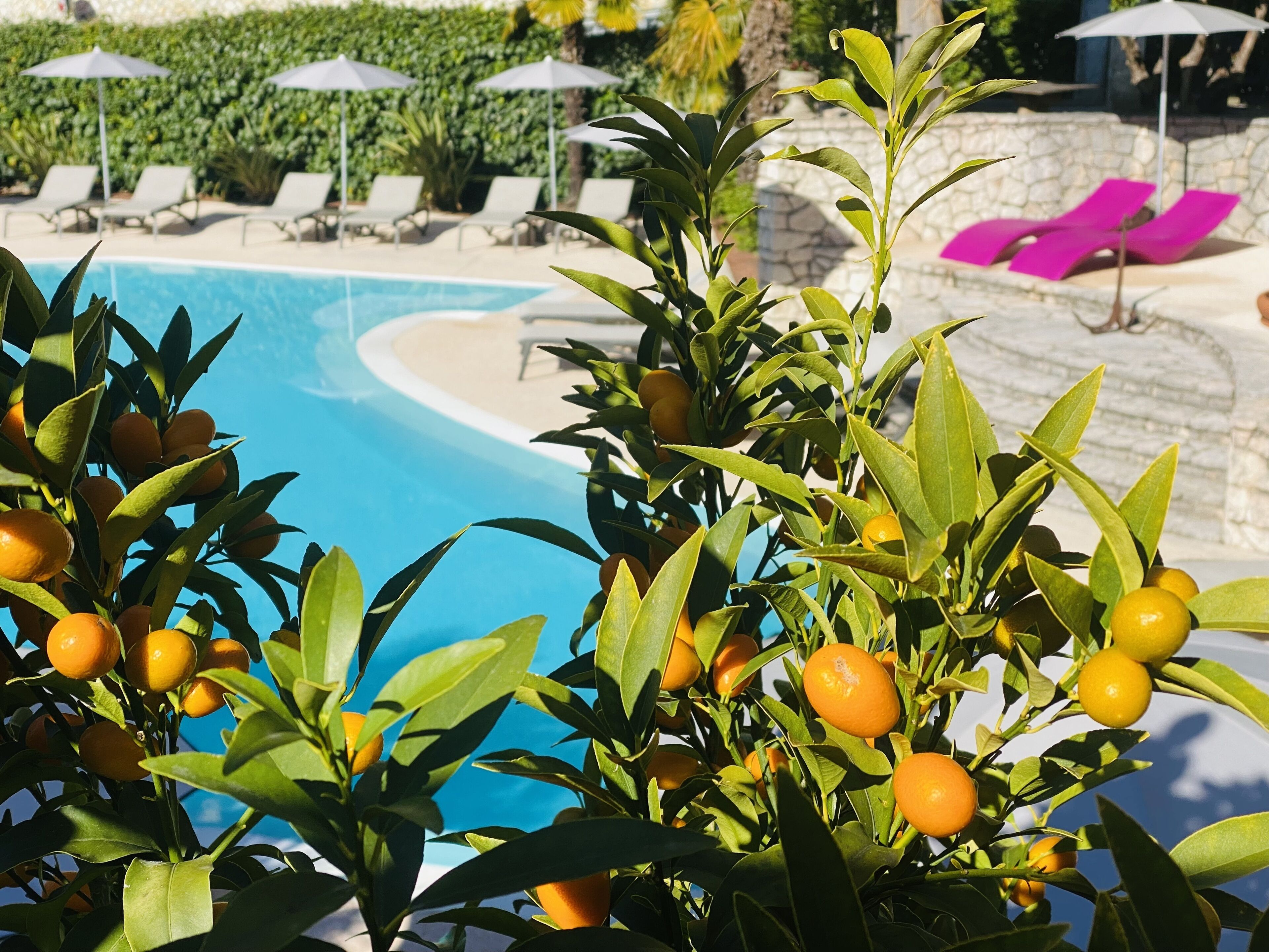 Foto - Villa Miravalle - Boutique Hotel