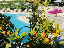 Una piscina al aire libre, sombrillas, sillones reclinables de piscina