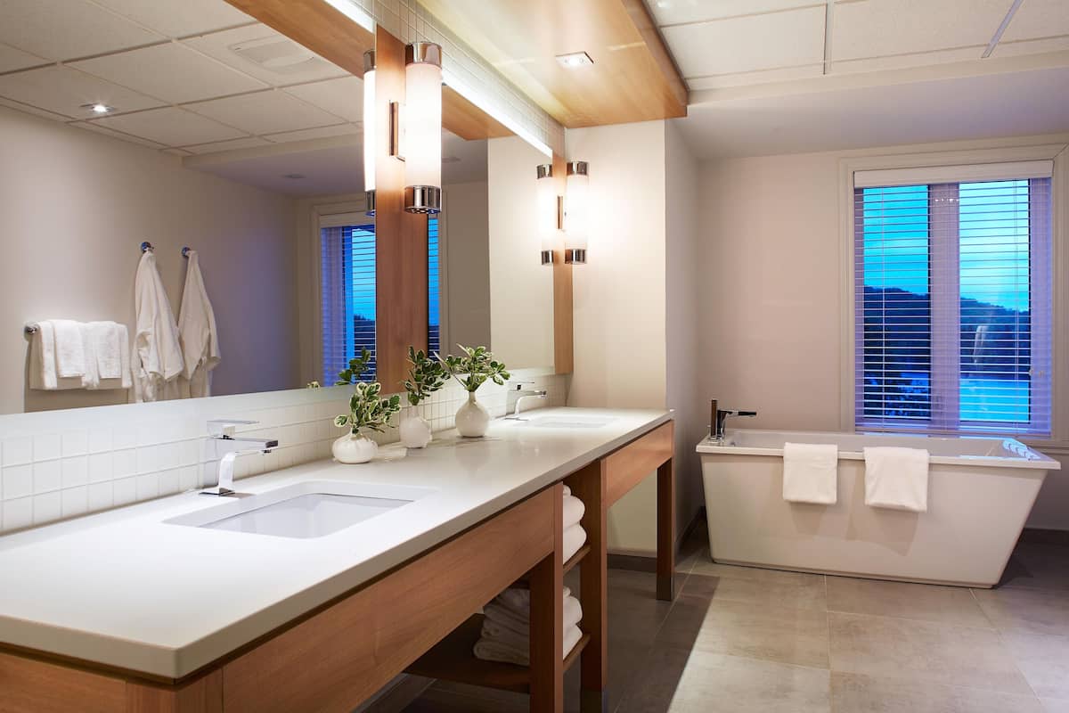 free toiletries, hair dryer, towels