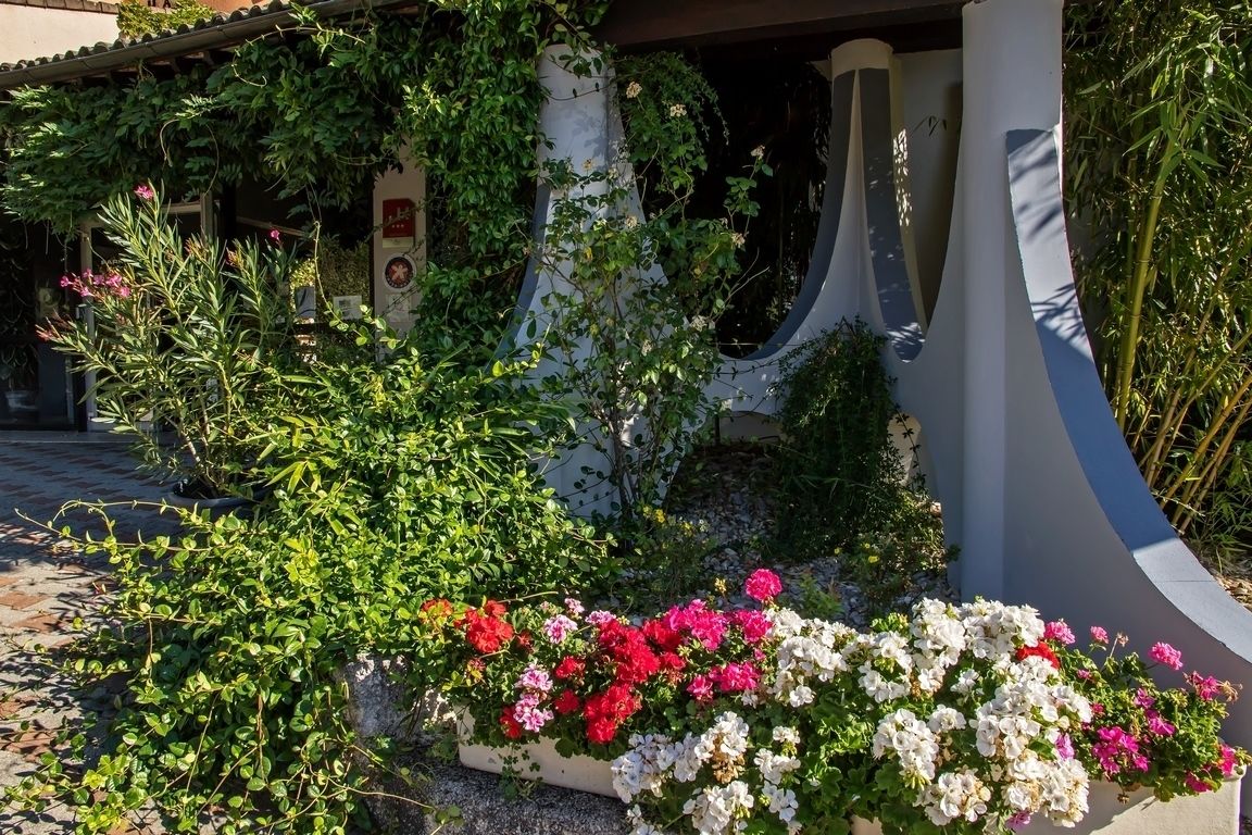A garden with various plants and flowers, a white column, and a curved structure.