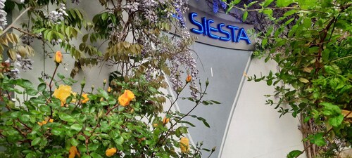 The Originals City, Hôtel La Siesta