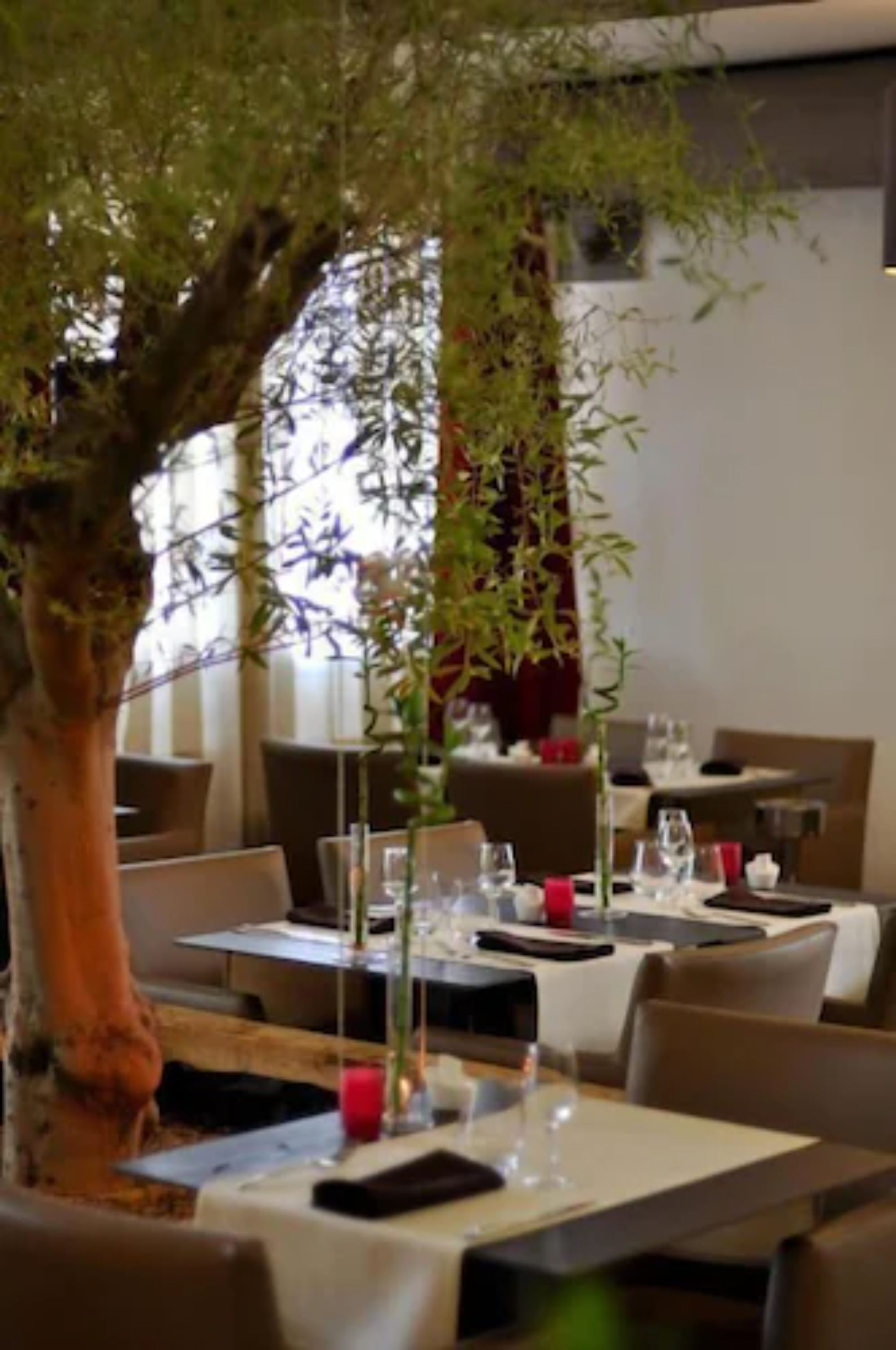 Un restaurante con mesas dispuestas para comer, un árbol grande en el centro y vistas de la calle.