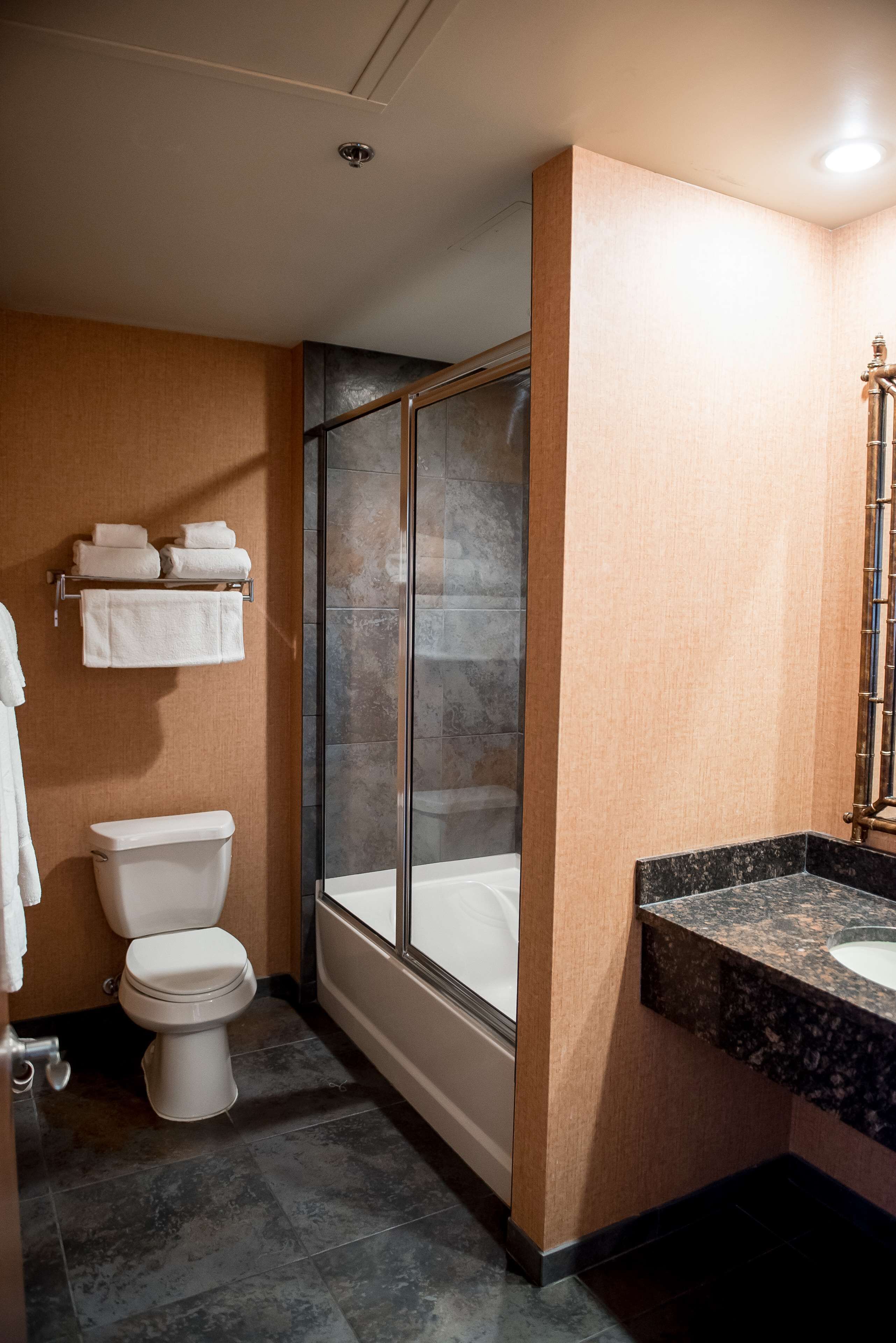 A bathroom with a toilet, a glass-enclosed shower, and a sink with a marble countertop.