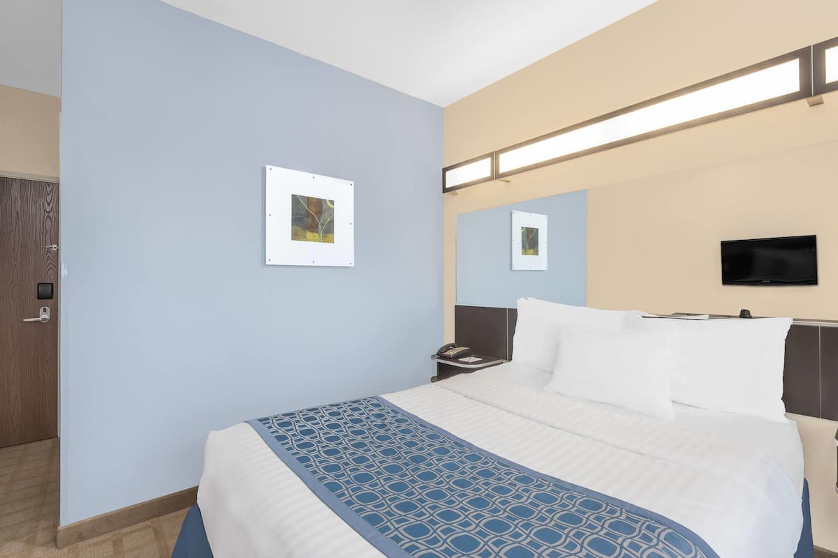 Standard Room, 1 Queen Bed, Accessible, Non Smoking (Mobility, Bathtub w/Grab Bars) | Desk, blackout drapes, rollaway beds, free WiFi