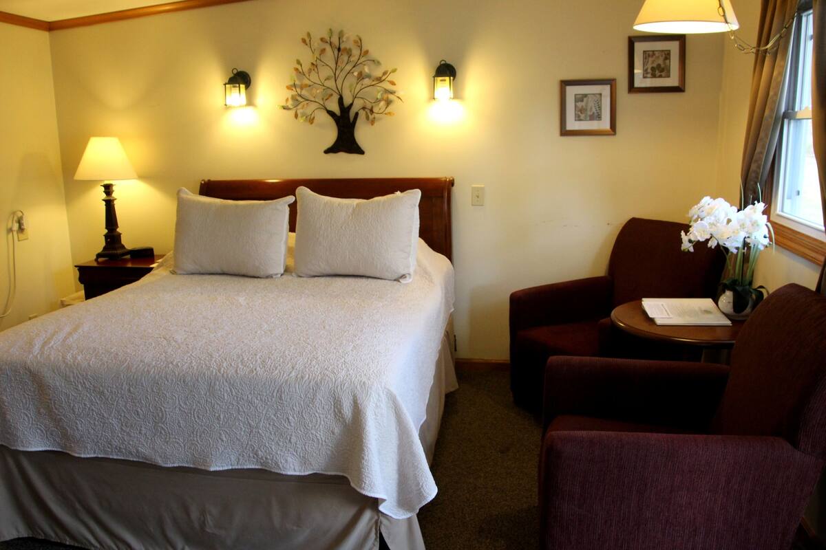 Superior Single Room, Accessible, Ensuite (03 - 1 Queen size bed)