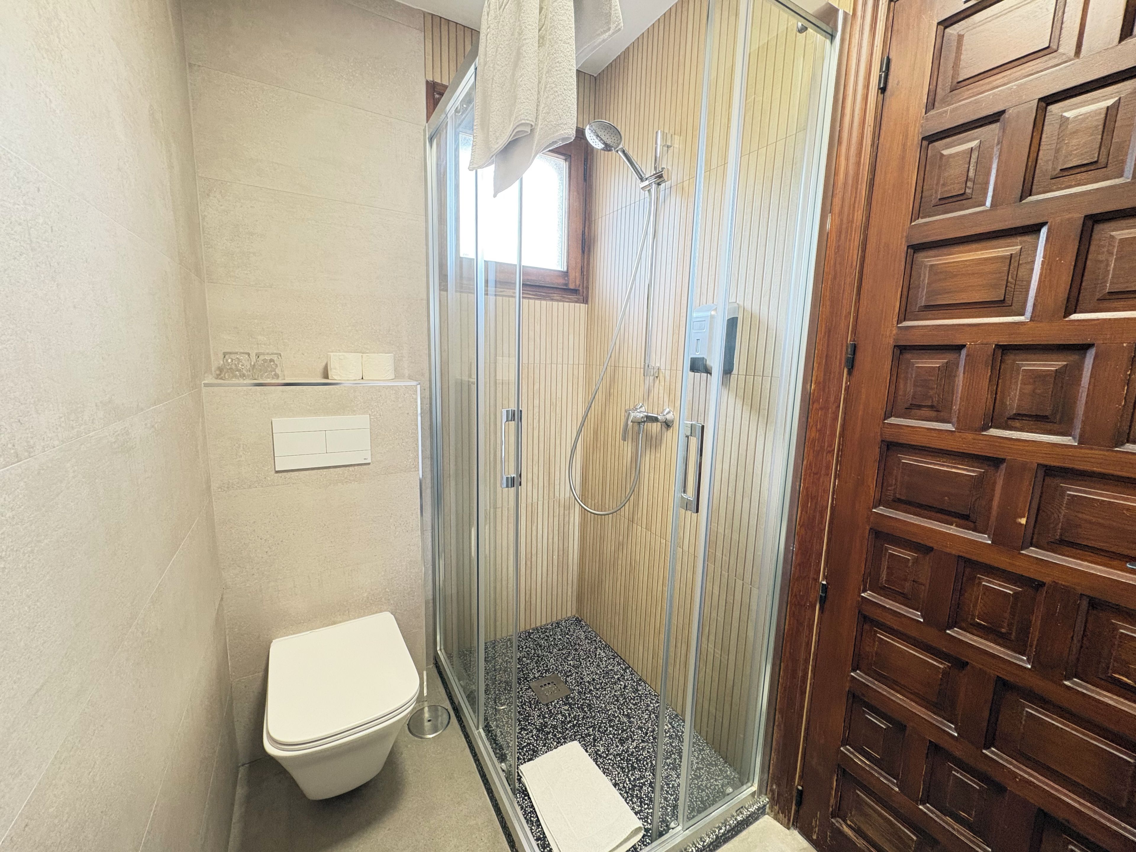 A shower with a glass door, a toilet, and a wooden door with paneling.