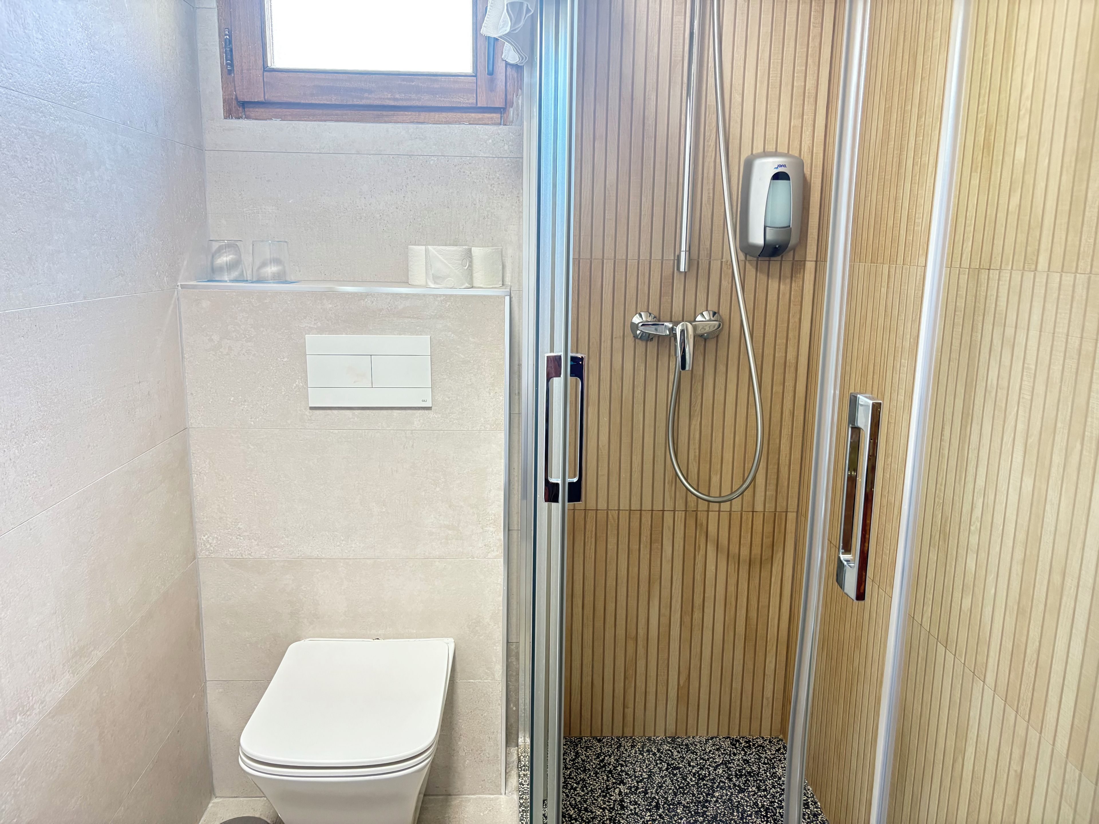 A small bathroom with a toilet, a shower with a handheld showerhead, and a soap dispenser.
