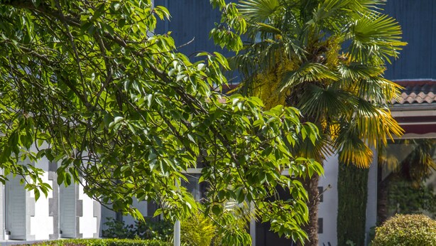 A well-maintained garden with neatly trimmed hedges, a variety of potted plants, and several white lounge chairs. - Relais 500 de Vienne (Chonas-l'Amballan)