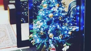 A hotel entrance with a Christmas tree decorated with lights and ornaments. - Nuovo Rondò (Sesto San Giovanni)