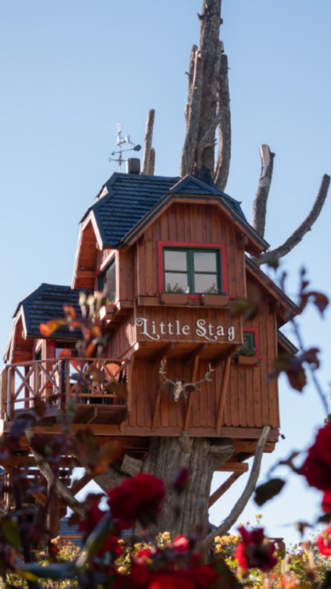 breakfast, lunch, dinner served; sea views